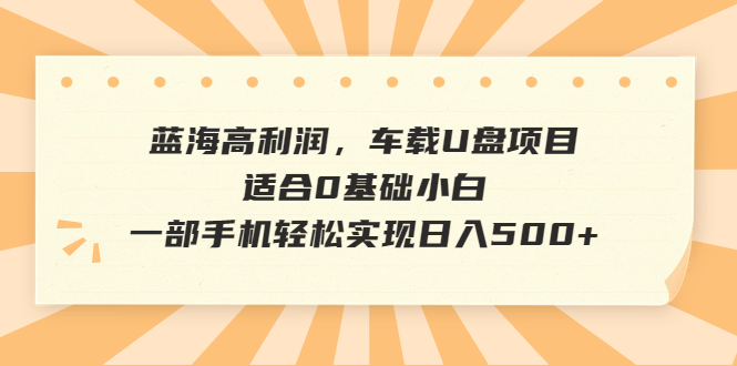 （6600期）蓝海高利润，车载U盘项目，适合0基础小白，一部手机轻松实现日入500+-千城资源网
