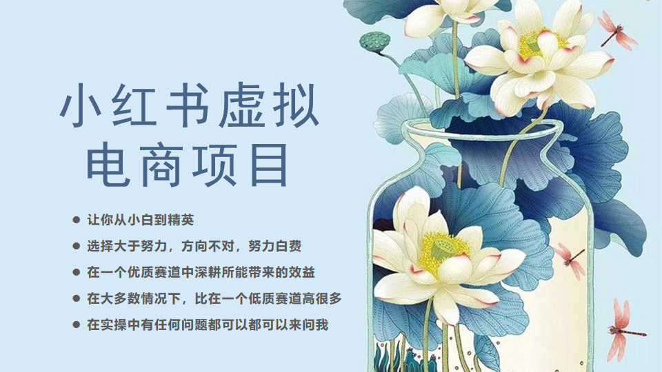 （6607期）小红书虚拟电商从0到1，让你从小白到精英（20节实操课程）-千城资源网