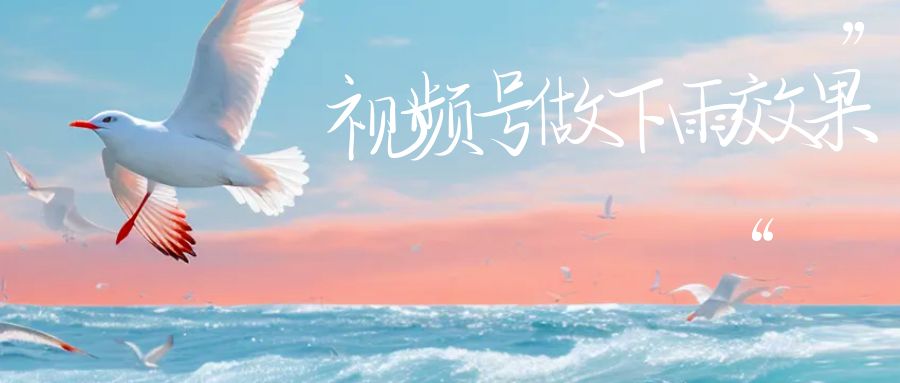 （6637期）视频号做下雨视频，一个账号一周涨粉10W+，日入1000+，附保姆级教程-千城资源网