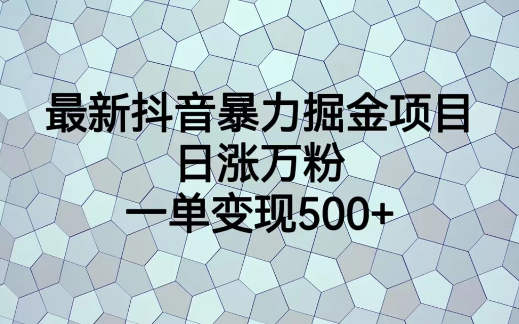 （6642期）最新抖音暴力掘金项目，日涨万粉，一单变现500+-千城资源网