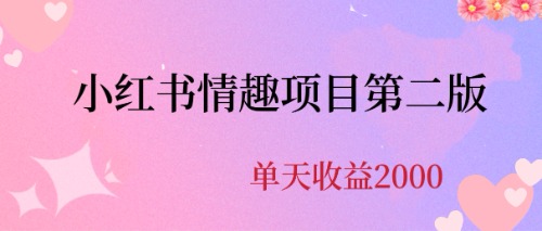 （6648期）最近爆火小红书情趣项目第二版，每天2000+-千城资源网