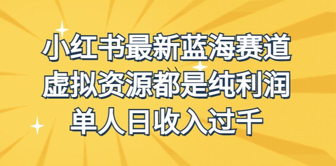 （6721期）外面收费1980的小红书最新蓝海赛道，虚拟资源都是纯利润，单人日收入过千-千城资源网