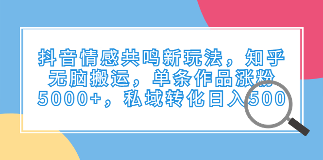 （6758期）抖音情感共鸣新玩法，知乎无脑搬运，单条作品涨粉5000+，私域转化日入500-千城资源网