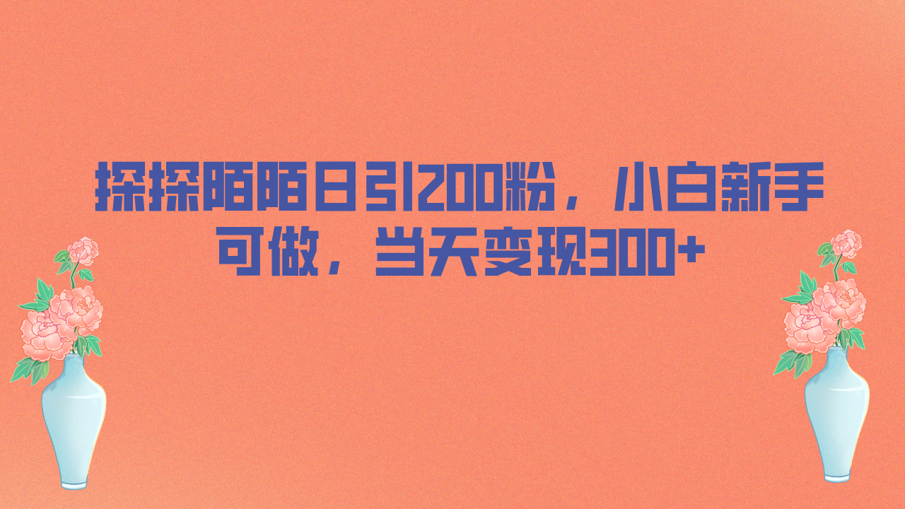 （6817期）探探陌陌日引200粉，小白新手可做，当天就能变现300+-千城资源网