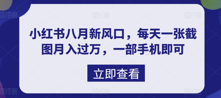 （6851期）八月新风口，小红书虚拟项目一天收入1000+，实战揭秘-千城资源网