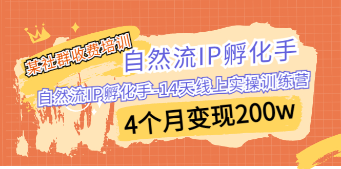 （6924期）某社群收费培训：自然流IP 孵化手-14天线上实操训练营 4个月变现200w-千城资源网
