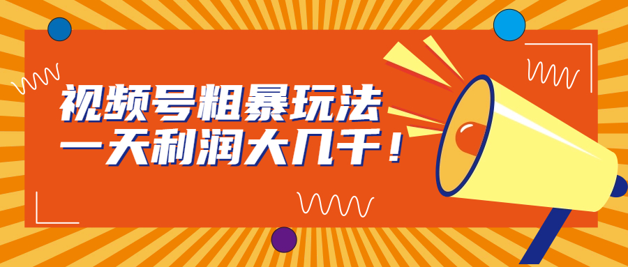 （6941期）视频号粗暴玩法，一天利润大几千！-千城资源网