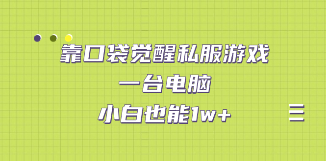 （7113期）靠口袋觉醒私服游戏，一台电脑，小白也能1w+（教程+工具+资料）-千城资源网