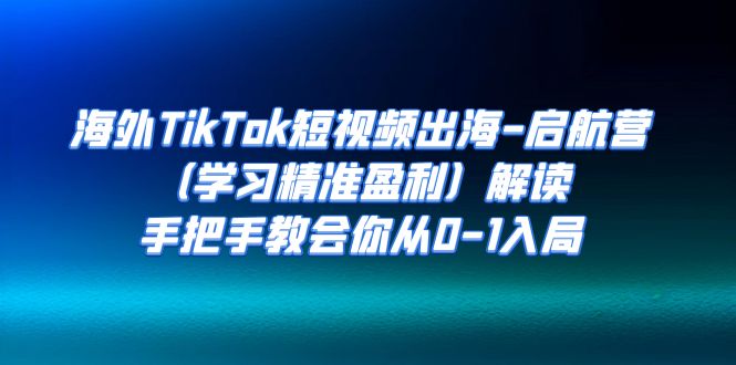 （7195期）海外TikTok短视频出海-启航营（学习精准盈利）解读，手把手教会你从0-1入局-千城资源网