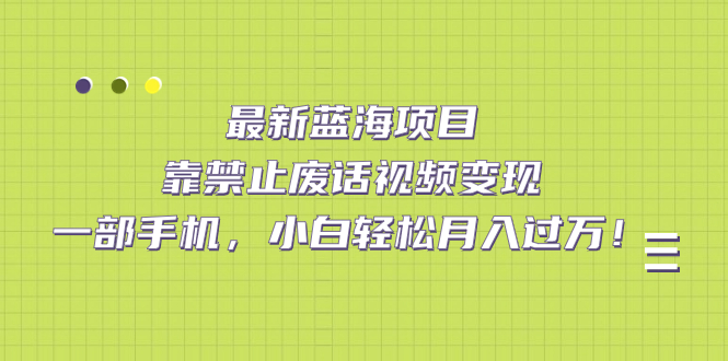 （7276期）最新蓝海项目，靠禁止废话视频变现，一部手机，小白轻松月入过万！-千城资源网