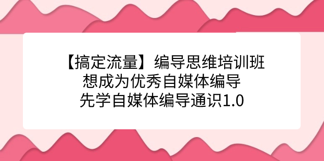（7281期）【搞定流量】编导思维培训班，想成为优秀自媒体编导先学自媒体编导通识1.0-千城资源网