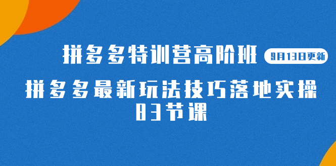 （7295期）2023拼多多·特训营高阶班【9月13日更新】拼多多最新玩法技巧落地实操-83节-千城资源网
