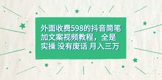 （7327期）外面收费598抖音简笔加文案教程，全是实操 没有废话 月入三万（教程+资料）-千城资源网