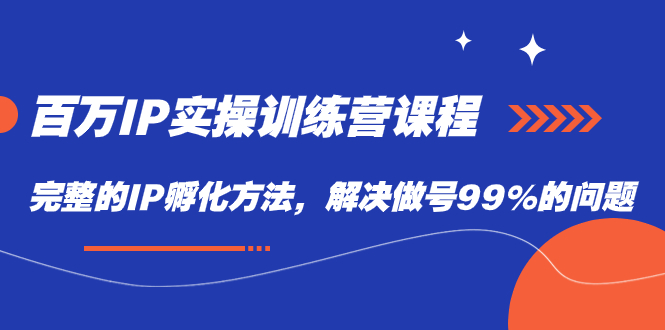 （7354期）百万IP实战训练营课程，完整的IP孵化方法，解决做号99%的问题-千城资源网