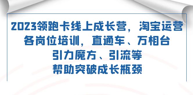 （7462期）2023领跑·卡 线上成长营 淘宝运营各岗位培训 直通车 万相台 引力魔方 引流-千城资源网