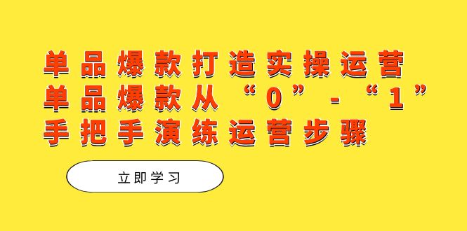 （7488期）单品爆款打造实操运营，单品爆款从“0”-“1”手把手演练运营步骤-千城资源网