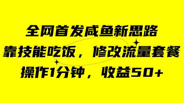 （7508期）咸鱼冷门新玩法，靠“技能吃饭”，修改流量套餐，操作1分钟，收益50+-千城资源网