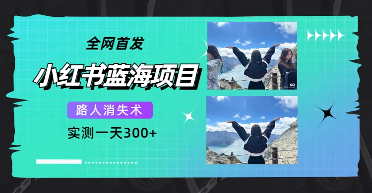 （7537期）全网首发，小红书蓝海项目，路人消失术，实测一天300+（教程+工具）-千城资源网