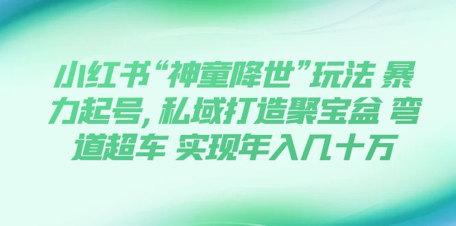 （7673期）小红书“神童降世”玩法 暴力起号,私域打造聚宝盆 弯道超车 实现年入几十万-千城资源网