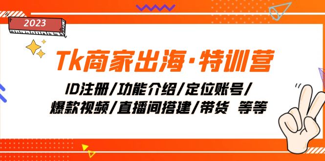 （7974期）Tk商家出海·特训营：ID注册/功能介绍/定位账号/爆款视频/直播间搭建/带货.-千城资源网