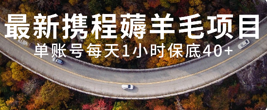 （7995期）最新携程薅羊毛项目，单账号每天1小时保底收益40+，可矩阵操作-千城资源网