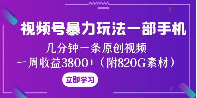 （8017期）视频号暴力玩法一部手机 几分钟一条原创视频 一周收益3800+（附820G素材）-千城资源网