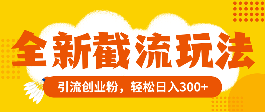 （8025期）全新截流玩法，精准引流创业粉，轻松日入300+-千城资源网