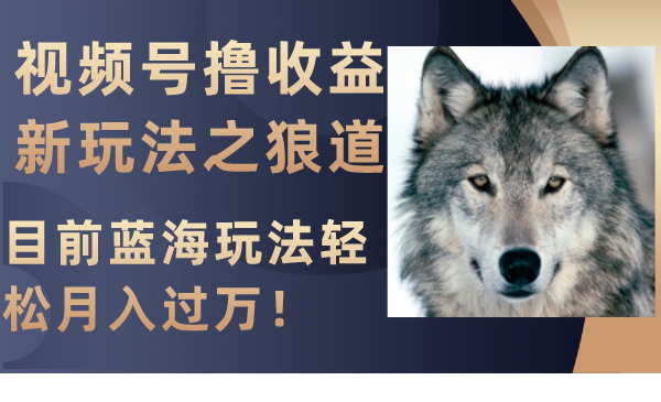 （8042期）视频号撸收益新玩法之狼道，目前蓝海玩法轻松月入过万！-千城资源网