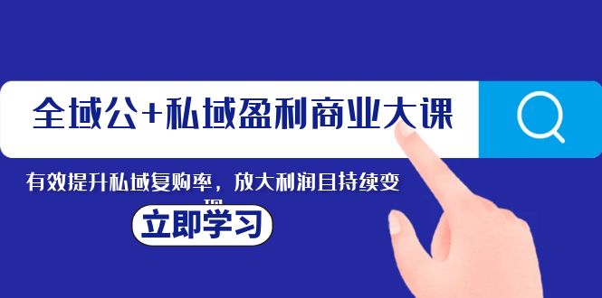 （8045期）全域公+私域盈利商业大课，有效提升私域复购率，放大利润且持续变现-千城资源网
