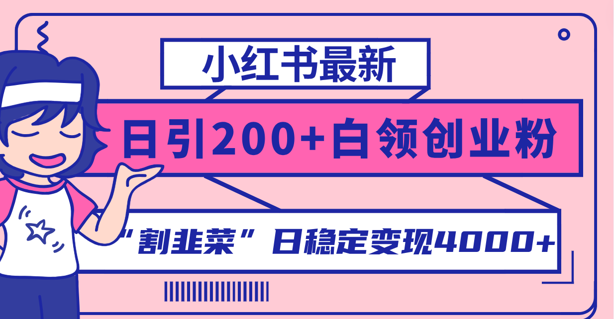 （8052期）小红书最新日引200+创业粉”割韭菜“日稳定变现4000+实操教程！-千城资源网