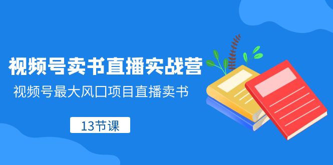 （8080期）视频号-卖书直播实战营，视频号最大风囗项目直播卖书（13节课）-千城资源网