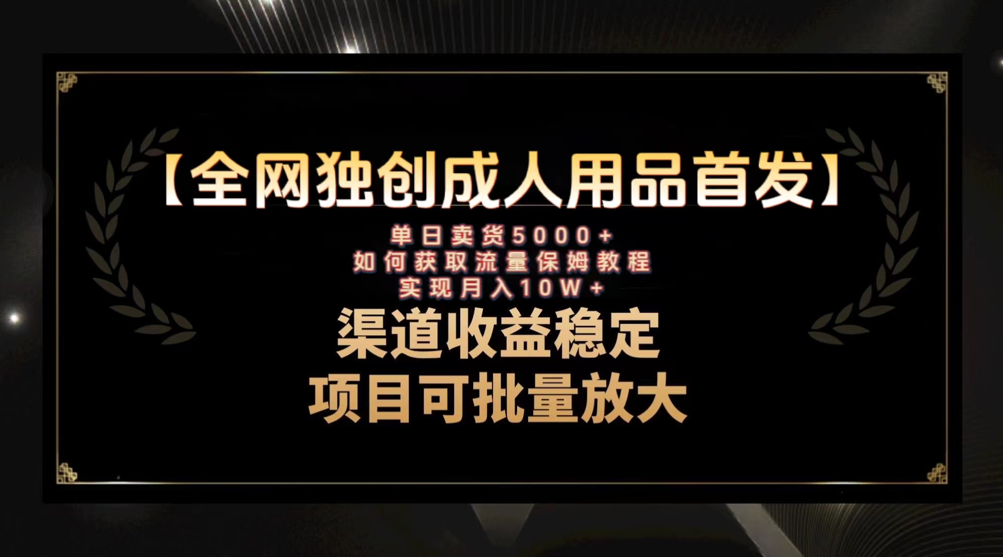（8128期）最新全网独创首发，成人用品赛道引流获客，月入10w保姆级教程-千城资源网