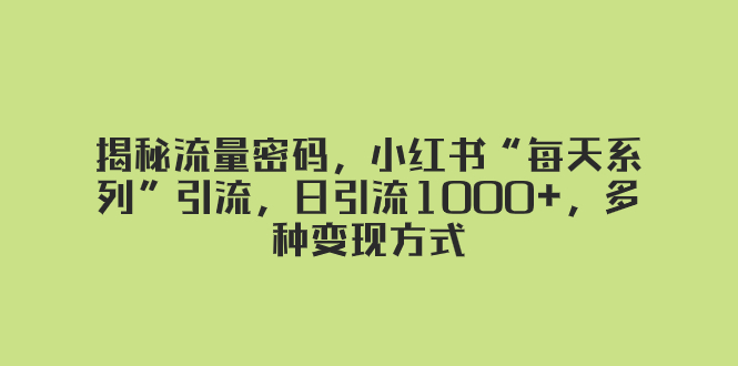 （8179期）揭秘流量密码，小红书“每天系列”引流，日引流1000+，多种变现方式-千城资源网