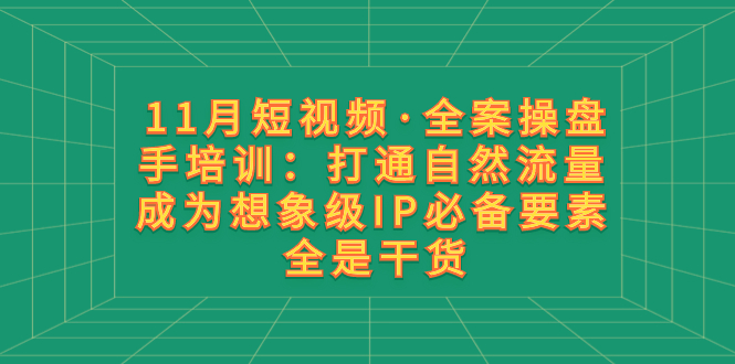 （8182期）11月短视频·全案操盘手培训：打通自然流量 成为想象级IP必备要素 全是干货-千城资源网