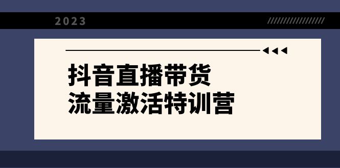 （8185期）抖音直播带货-流量激活特训营，入行新手小白主播必学（21节课+资料）-千城资源网