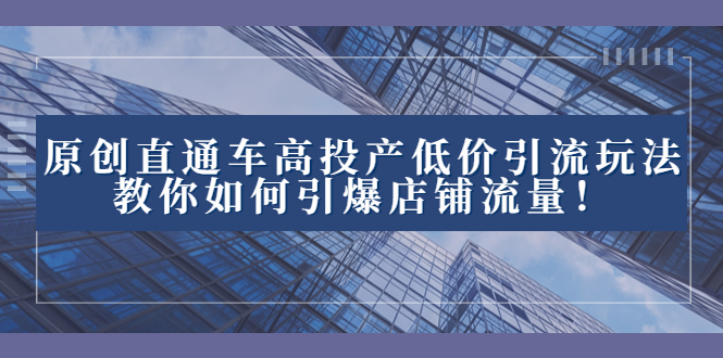 （8197期）2023直通车高投产低价引流玩法，教你如何引爆店铺流量！-千城资源网