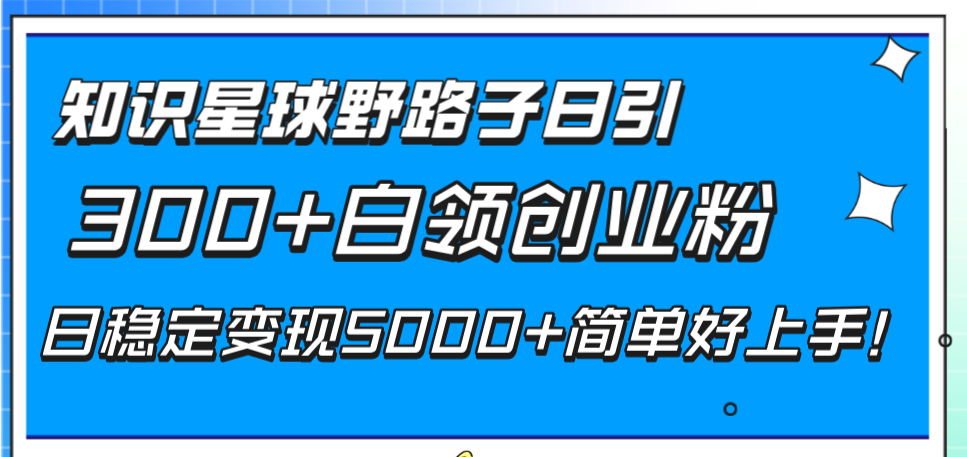 （8315期）知识星球野路子日引300+白领创业粉，日稳定变现5000+简单好上手！-千城资源网