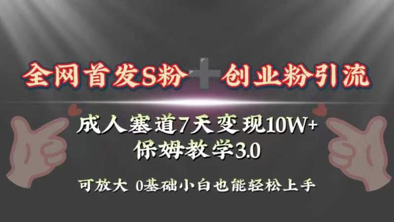 （8337期）全网首发s粉加创业粉引流变现，成人用品赛道7天变现10w+保姆教学3.0-千城资源网