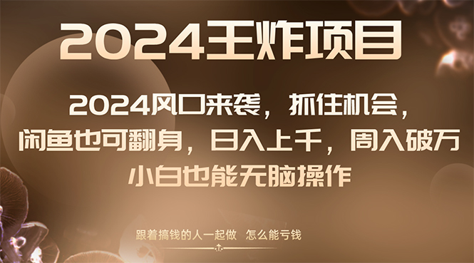 （8401期）2024风口项目来袭，抓住机会，闲鱼也可翻身，日入上千，周入破万，小白…-千城资源网