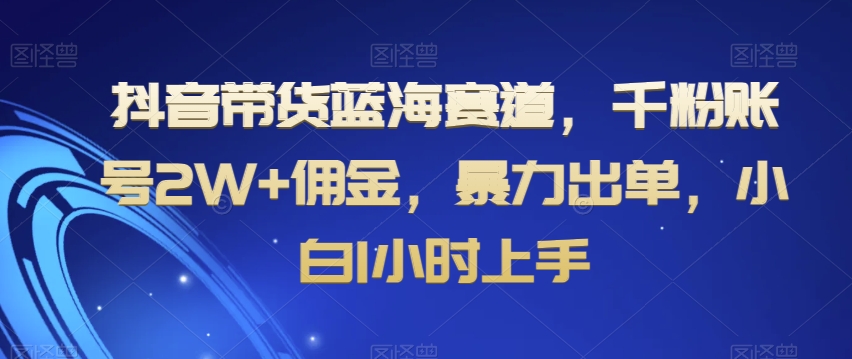 抖音带货蓝海赛道，千粉账号2W+佣金，暴力出单，小白1小时上手【揭秘】-千城资源网
