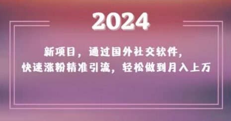 2024新项目，通过国外社交软件，快速涨粉精准引流，轻松做到月入上万【揭秘】-千城资源网