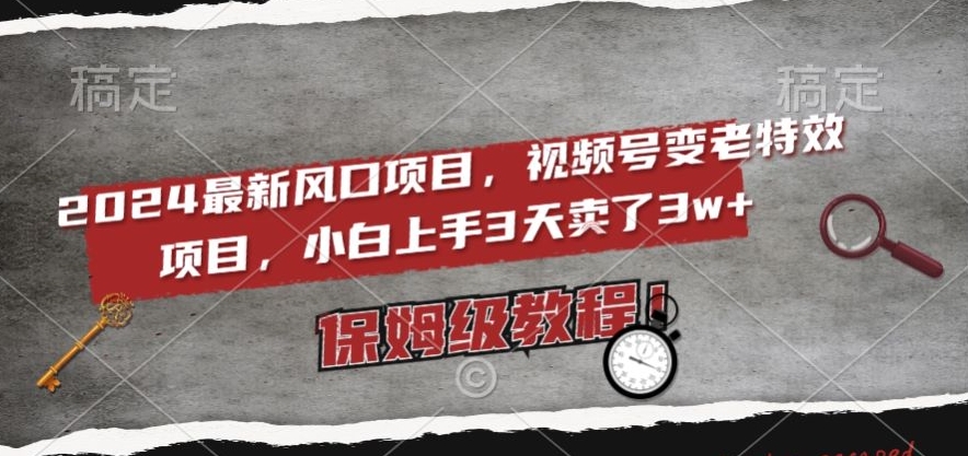 2024最新风口项目，视频号变老特效项目，电脑小白上手3天卖了3w+，保姆级教程【揭秘】-千城资源网