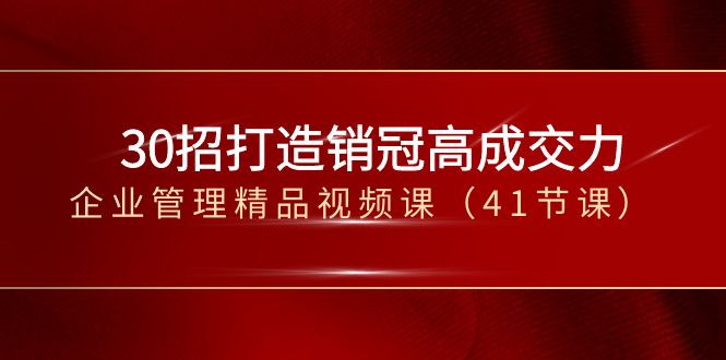 （8477期）30招-打造销冠高成交力-企业管理精品视频课（41节课）-千城资源网