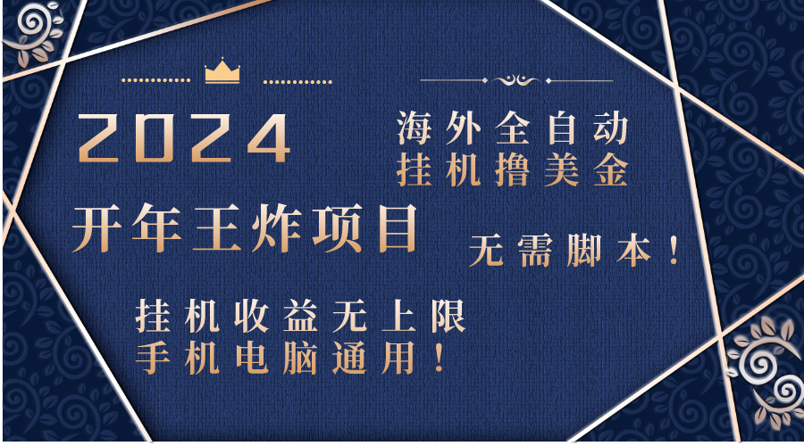 （8494期）2024海外全自动挂机撸美金项目！手机电脑均可，无需脚本，收益无上限！-千城资源网