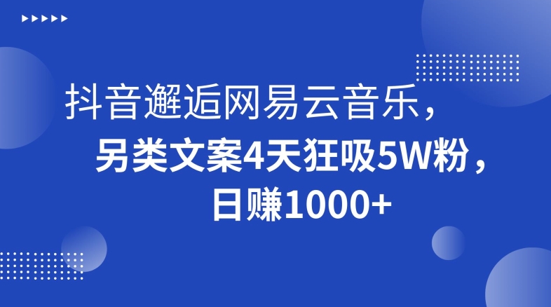 抖音邂逅网易云音乐，另类文案4天狂吸5W粉，日赚1000+【揭秘】-千城资源网