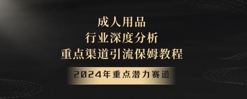 2024年重点潜力赛道，成人用品行业深度分析，重点渠道引流保姆教程【揭秘】-千城资源网