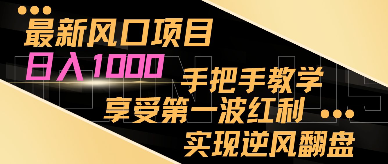 最新风口项目，日入1000，手把手教学，享受第一波红利，实现逆风翻盘-千城资源网