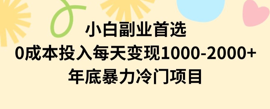 小白副业首选，0成本投入，每天变现1000-2000年底暴力冷门项目【揭秘】-千城资源网