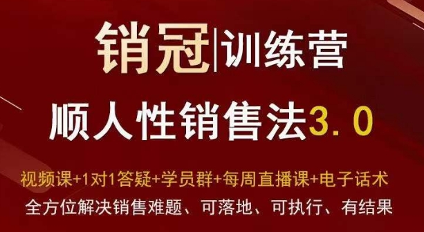 爆款！销冠训练营3.0之顺人性销售法，全方位解决销售难题、可落地、可执行、有结果-千城资源网
