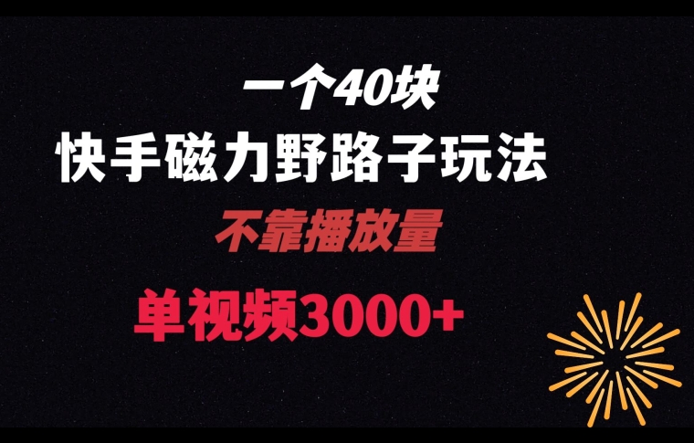 一个40块，快手联合美团磁力新玩法，无视机制野路子玩法，单视频收益4位数【揭秘】-千城资源网